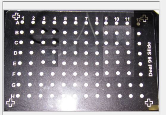 DESI 96 slide.JPG
